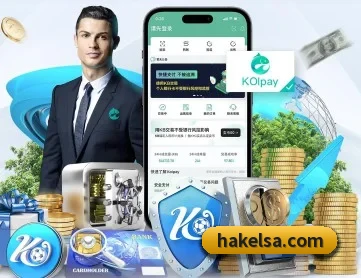 6686网站在线登录 APP 深度功能